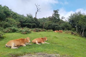 SAPA: Suba até a montanha Fansipan com um guia local