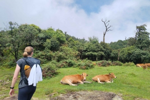 SAPA: Suba até a montanha Fansipan com um guia local