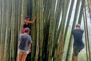 SAPA: Descobre belas paisagens sob a montanha Fansipan