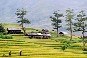 Sapa: Eco Adventure Terrace Fields and Local Villages Trek