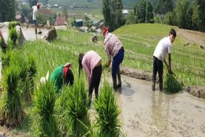 Sapa: Eco Adventure Terrace Fields and Local Villages Trek