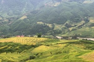 Sapa : explorez Sa Pa en une journée avec un guide local à moto