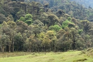 Sapa: explora Sa Pa en un día con un guía local en moto.