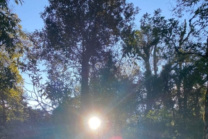 Sapa: explora Sa Pa en un día con un guía local en moto.