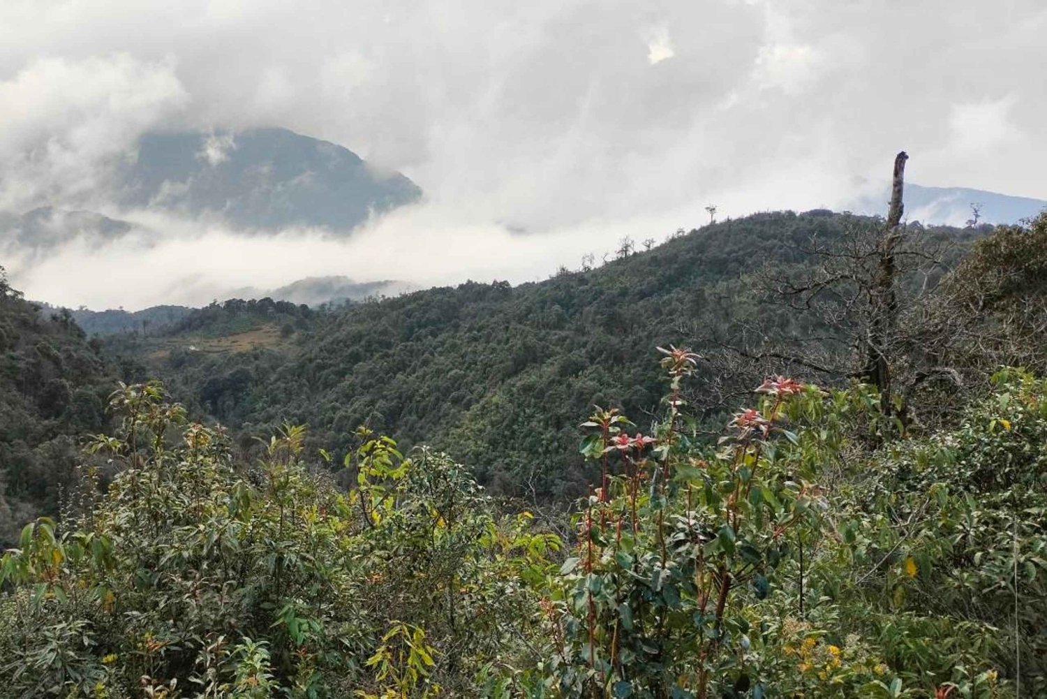 Sapa: Fansipan berg 2-daagse trektocht