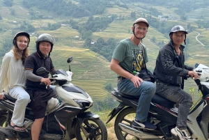 Sapa: Heldagstur på motorsykkel med lunsj