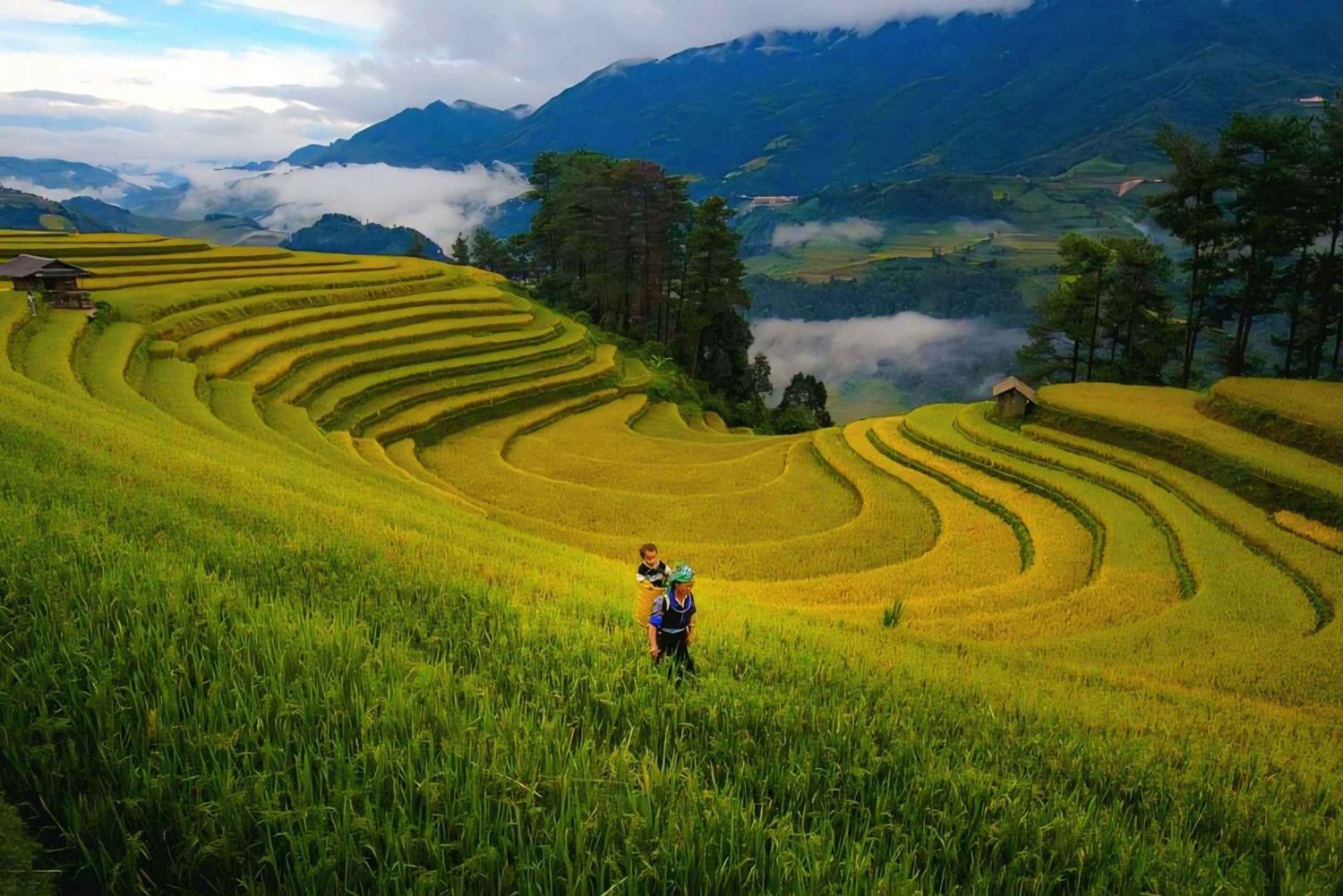 Sapa: Ganztagestour Trekking Tour