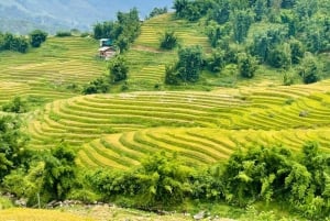 Sapa: Heldags trekkingtur