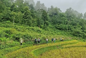 Sapa : visite d'une jounée de trekking