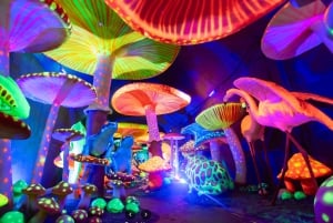 Sapa: Go Kart, Fairy Valley, Lonely Tree, Silver Falls Tour