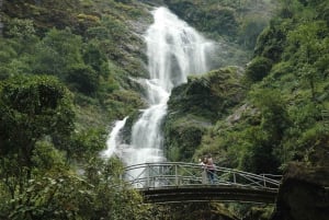 Sapa: Go Kart, Fairy Valley, Lonely Tree, Silver Falls Tour