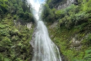 SAPA HALF DAY: Love Waterfall, Lonely Tree, Museum, Market