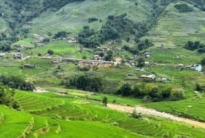 Sapa: Caminhada com ervas com o povo Red Dao – 1 dia