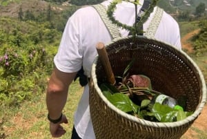 Sapa: Caminhada com ervas com o povo Red Dao – 1 dia