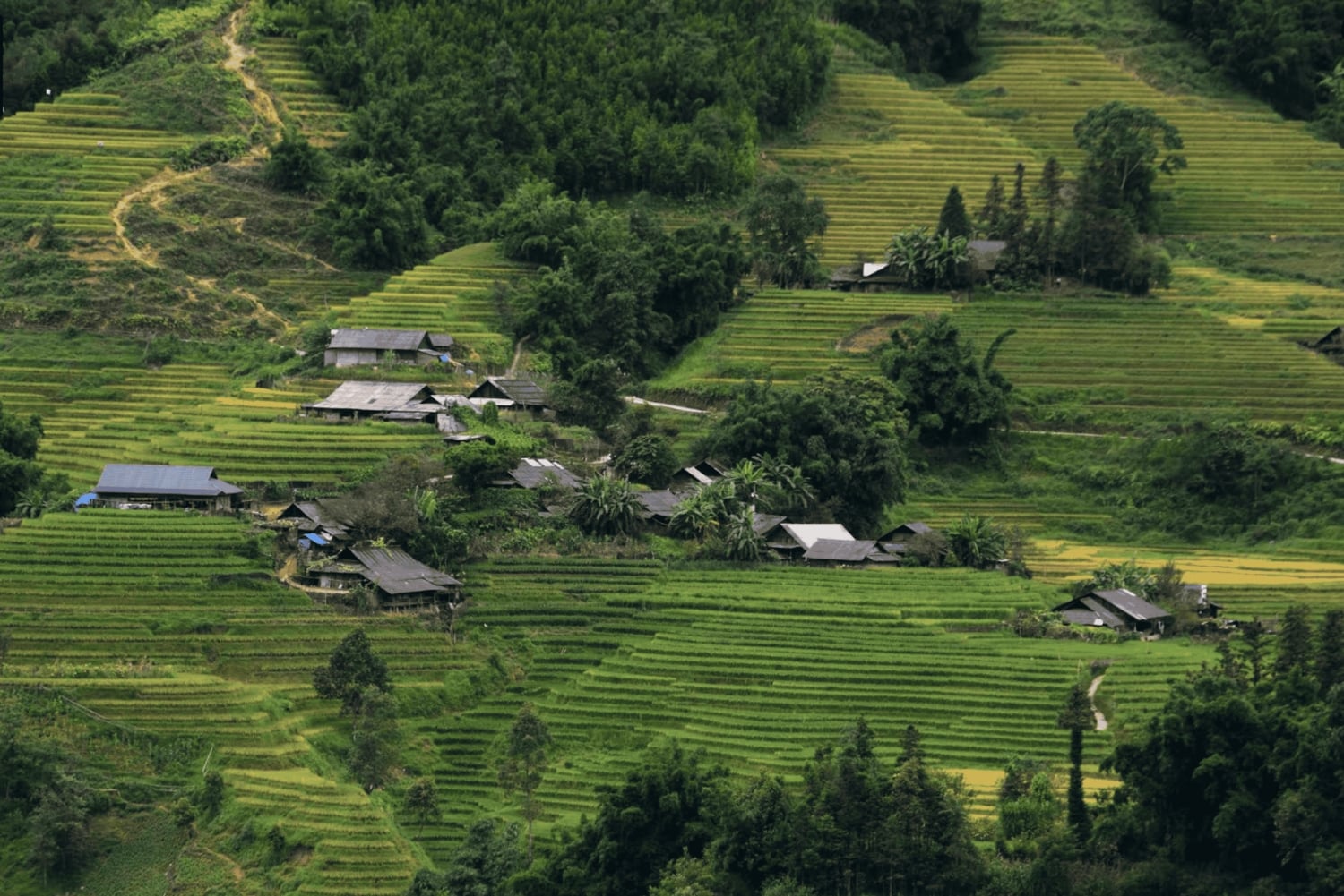 Sapa Highlights: Private Motorrad- oder Autotour – anpassbar