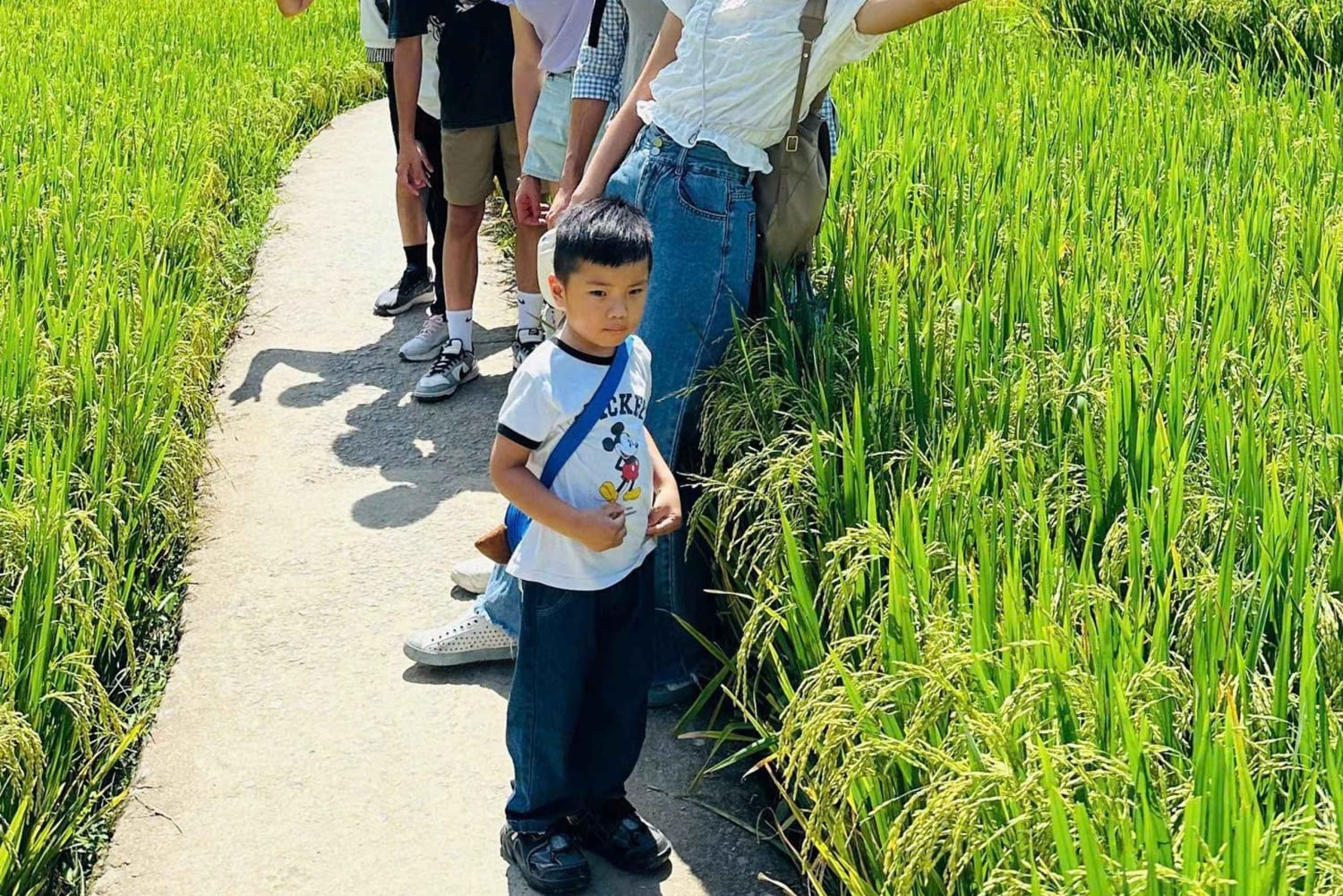 Sapa: Lao Chai and Ta Van Villages Day Tour with Lunch