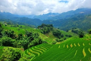 Découvrez Sapa : 2 jours et 1 nuit d'aventure en trek et séjour confortable chez l'habitant à LaLa.