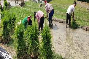 Sapa: Paikallinen hmong ruoanlaittokurssi