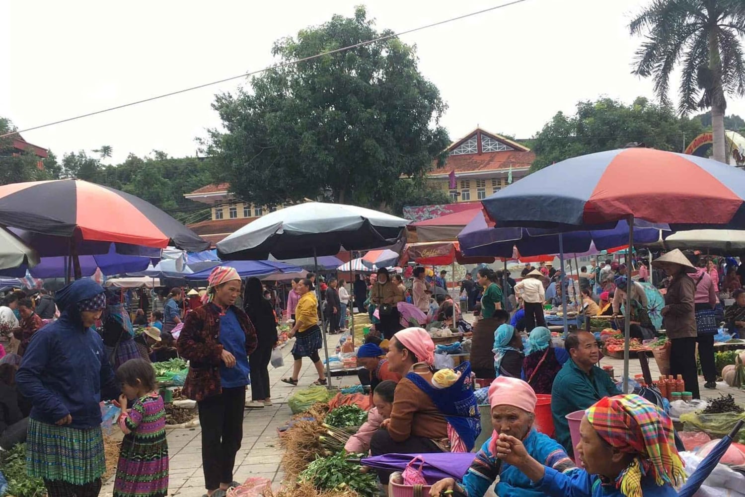 1-dniowa wycieczka motocyklowa z lokalnym przewodnikiem po Sapa i Bac Ha