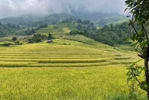 Sapa: Motorcykeltur 1-dags guidet tur Besøg vandfald og lokale landsbyer
