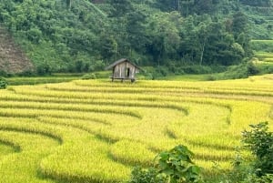 Sapa: Motorcykeltur 1-dags guidet tur Besøg vandfald og lokale landsbyer