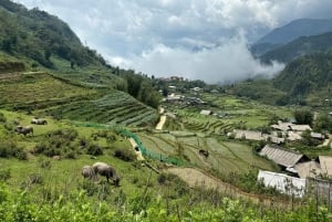 Sapa: Motorcykeltur 1-dags guidet tur Besøg vandfald og lokale landsbyer
