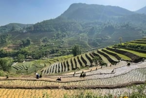 Sapa: Motorcykeltur 1-dags guidet tur Besøg vandfald og lokale landsbyer