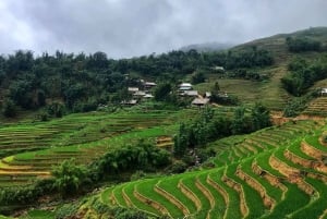 Sapa: Motorcykeltur 1-dags guidet tur Besøg vandfald og lokale landsbyer
