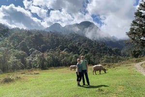 Sapa: Motorcykeltur 1-dags guidet tur Besøg vandfald og lokale landsbyer