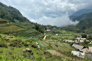 Sapa: Tour di 1 giorno in moto per visitare cascate e villaggi locali