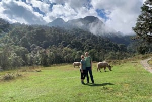 Sapa: Tour di 1 giorno in moto per visitare cascate e villaggi locali