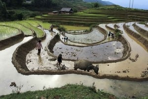 SaPa Muong Hoa valley trek and Local ethnic Villages