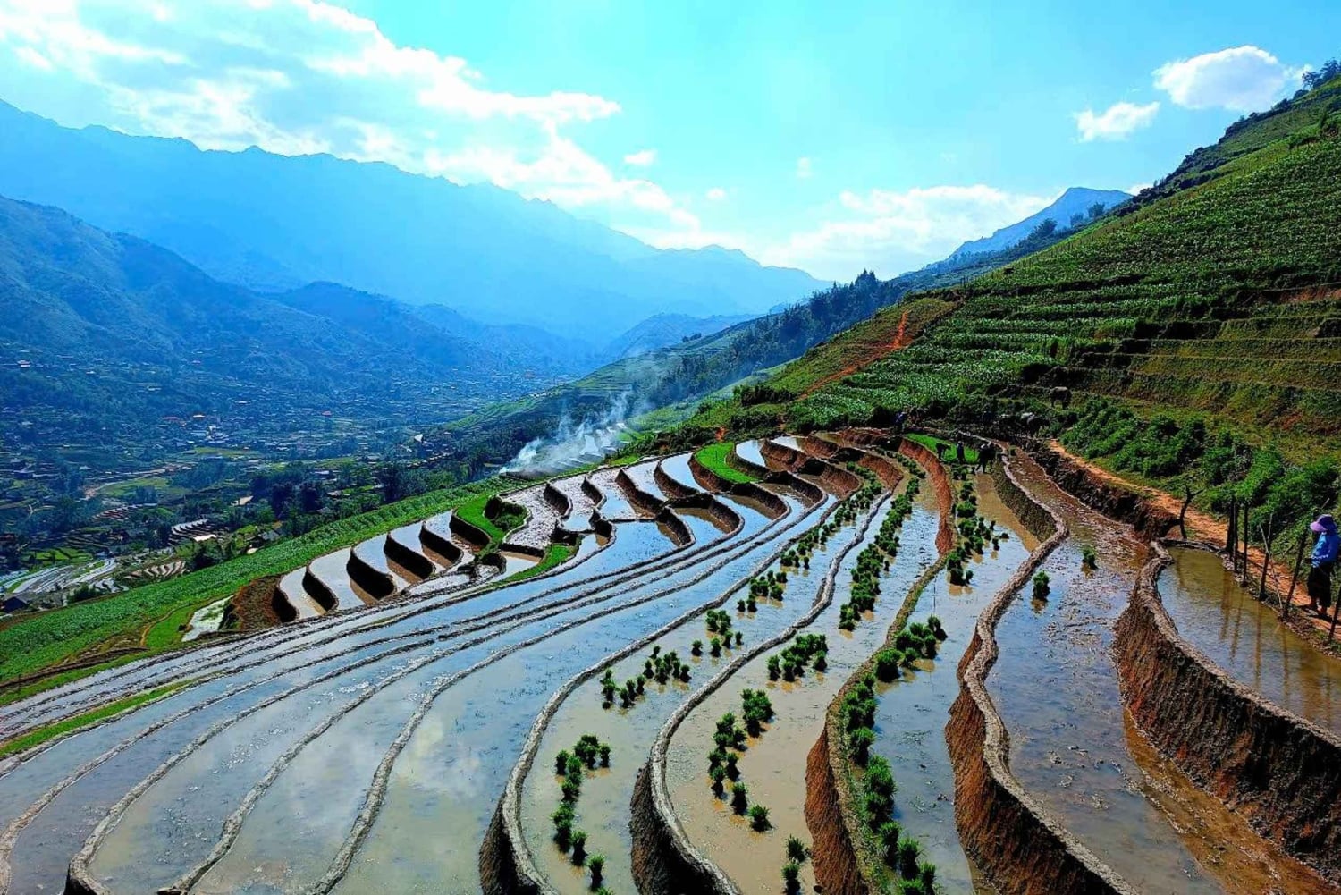 Sapa: un día de senderismo con guía local y almuerzo