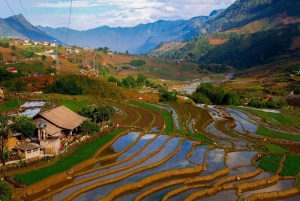 Sapa: un día de senderismo con guía local y almuerzo
