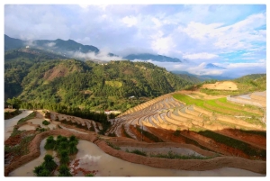 Sapa: un día de senderismo con guía local y almuerzo