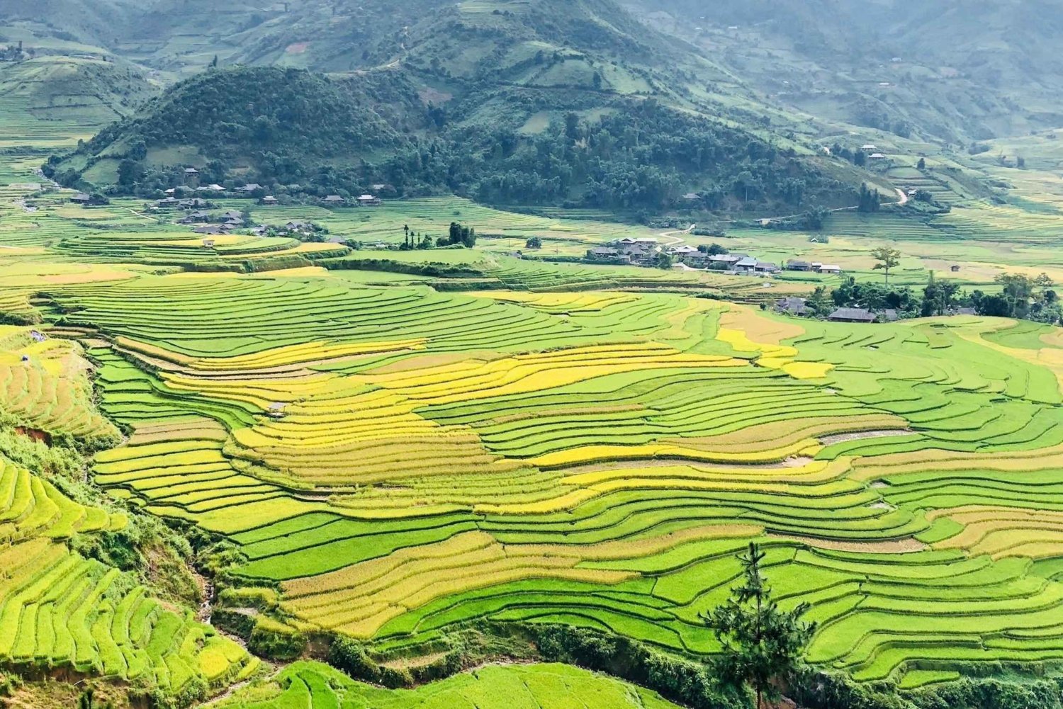 Sapa: Private Highlights Day Tour with Lunch