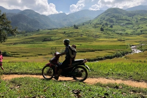 Sapa : Visite privée d'une journée avec déjeuner