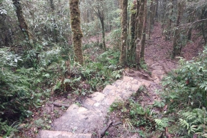 Sapa : Visite privée d'une journée avec déjeuner