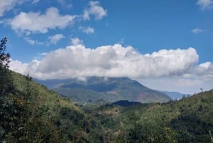 Sapa : Visite privée d'une journée avec déjeuner