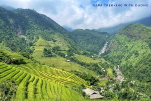 Sapa: Private The Most Beautiful Terraced Fields Trekking