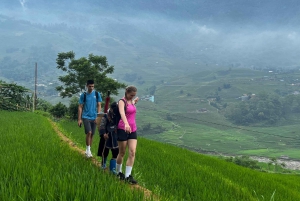 Sapa: Private Trekking Tour to Local Villages with Lunch