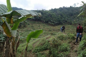 Sapa: Private Trekking Tour to Local Villages with Lunch