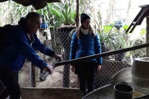 Sapa: Private Trekking Tour to Local Villages with Lunch