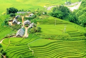 From Hanoi: 2-Day Sapa Trekking Trip with Homestay & Meals