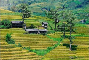 Sapa: Taller de arte en campos de arroz – Colores de las montañas