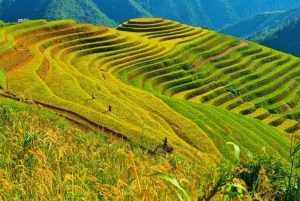 Sapa: Taller de arte en campos de arroz – Colores de las montañas
