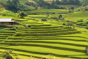 Sapa: Taller de arte en campos de arroz – Colores de las montañas