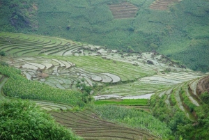 Passeio panorâmico por Sapa: a beleza da natureza e as perspetivas locais