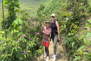 Sapa-trekkingdeals met een lokale gids