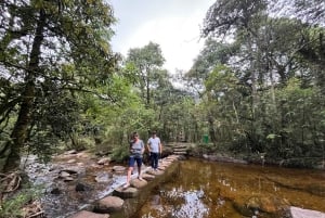 Sapa: Dagsutflykt med bil till vattenfall, teodling och grottor